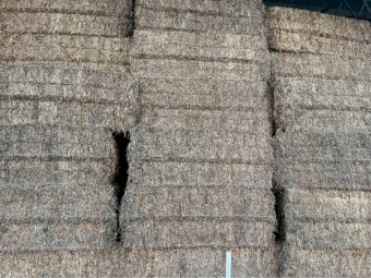 Vetch Hay