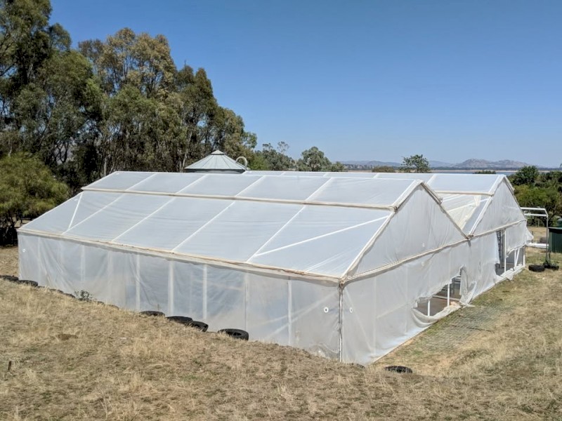 Commercial Greenhouse 18m x 18m Multi-Span — Galvanised Frame, Climate Control