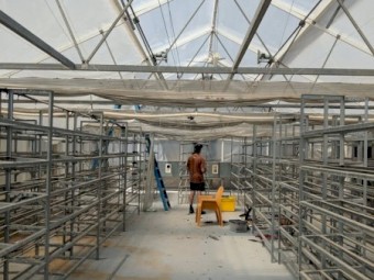 Commercial Greenhouse 18m x 18m Multi-Span — Galvanised Frame, Climate Control