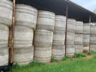 Oaten Hay 120 Round Bales