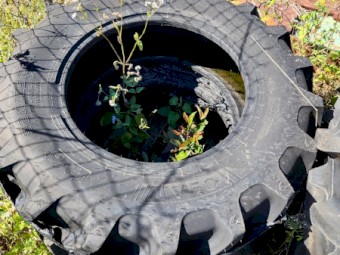 CEAT 320/85R24 or 12.4R24 Tyres