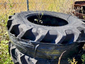 CEAT 320/85R24 or 12.4R24 Tyres