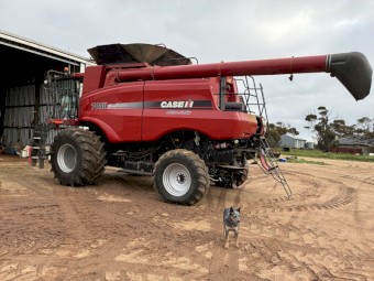 2011 Case IH 7088 Header
