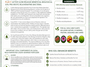 WHS SOIL ENHANCER PLUS 9 LIQUID FERTILISER 1000L