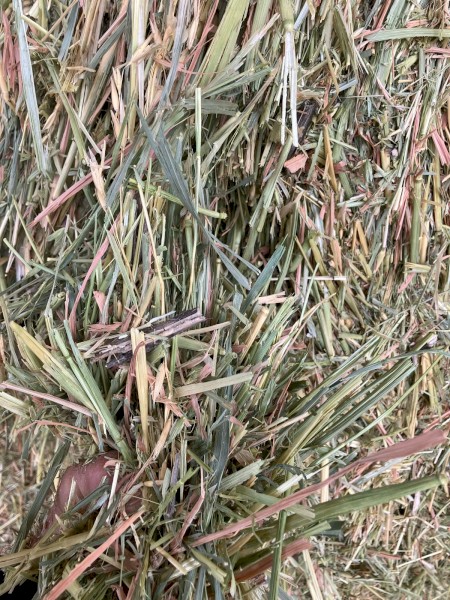 100mt Oaten Hay 8x4x3 Bales