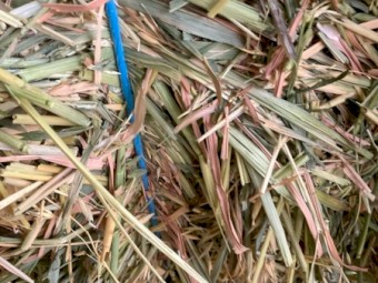 100mt Oaten Hay 8x4x3 Bales
