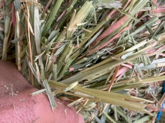 100mt Oaten Hay 8x4x3 Bales
