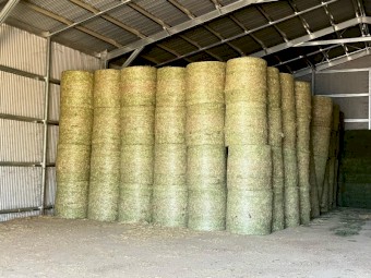 Beardless Barley Rounds 4x4 New Season