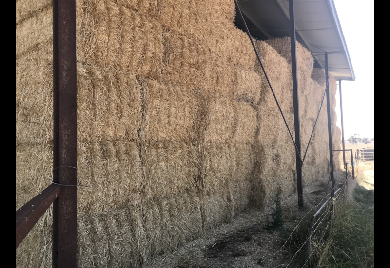 Barley Straw 8x4x3 Bales
