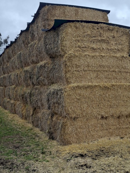 25mt Barley Straw 500kg 8x4x3 Bales