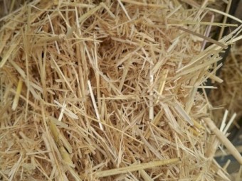 25mt Barley Straw 500kg 8x4x3 Bales