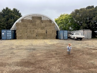 500mt Barley Hay 8x4x3 Bales
