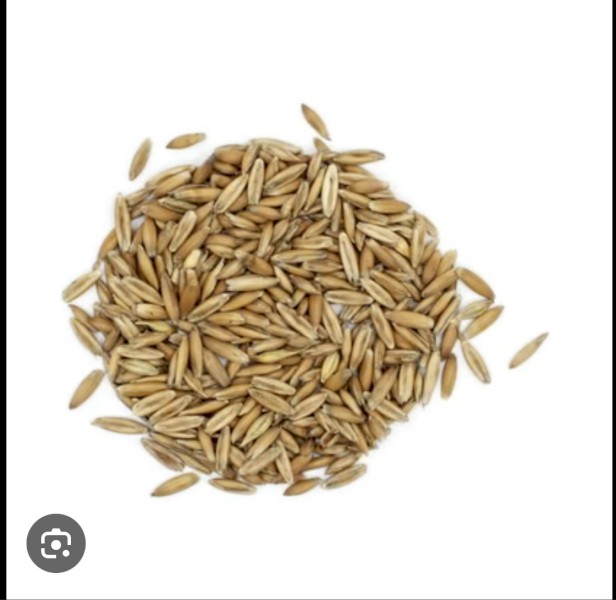 30 mt Yarran oats 