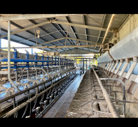 Share Farming / Agistment