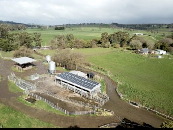 Share Farming / Agistment