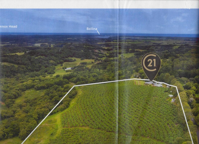 Ex Banana Farmland for Agistment