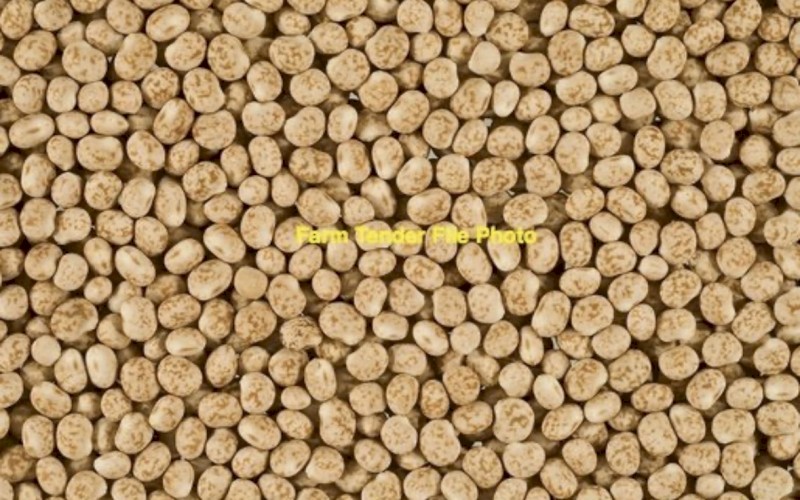 120t Jurien Lupins