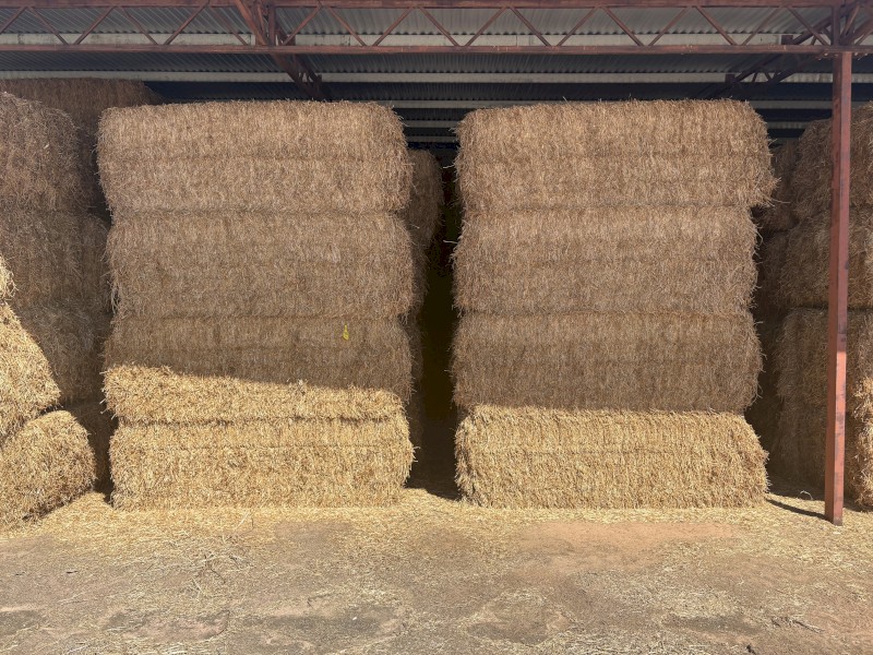 44mt Vetch Hay 660kg 8x4x3 Bales