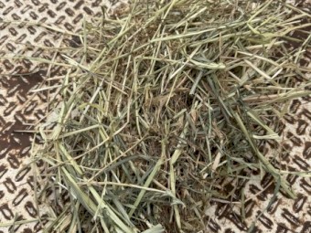 Clover and rye 5x4 rolls