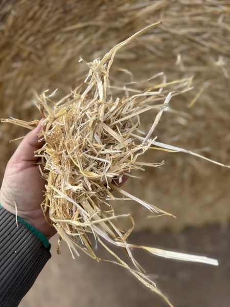 Barley straw 5x4 rolls 