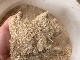 Barley Screenings Available - 15t per week 