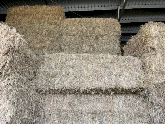 700mt Barley Hay 700kg 8x4x3 Bales