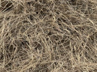 Bluegrass Hay 4x4 Rounds
