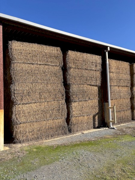 112mt Lucerne Hay 700kg 8x4x3 Bales