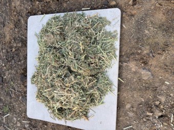 112mt Lucerne Hay 700kg 8x4x3 Bales