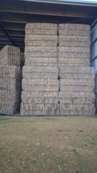 250mt Vetch Hay 8×4×3 Bales