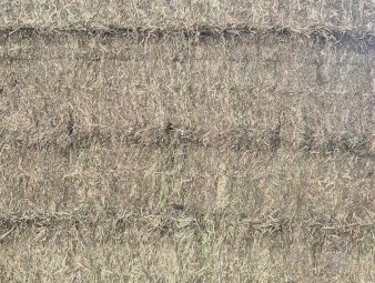 250mt Vetch Hay 8×4×3 Bales