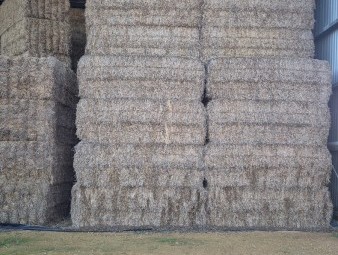 250mt Vetch Hay 8×4×3 Bales