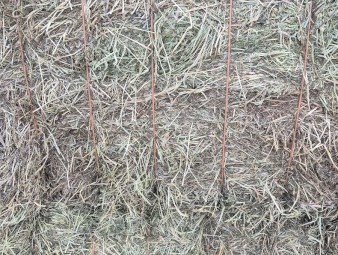 250mt Vetch Hay 8×4×3 Bales