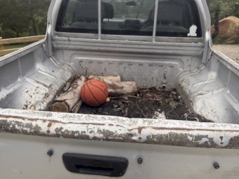 2004 Rodeo dual cab ute