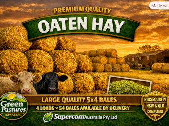 Premium Large 5x4 Oaten Hay