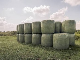 4x4  Beardless Barley/field pea silawrapped  from Fire Ant Free farm