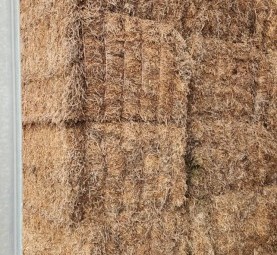 500mt Vetch Hay 8x4x3 Bales