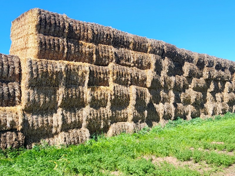 240mt Oaten Hay 600-640kg 8x4x3 Bales