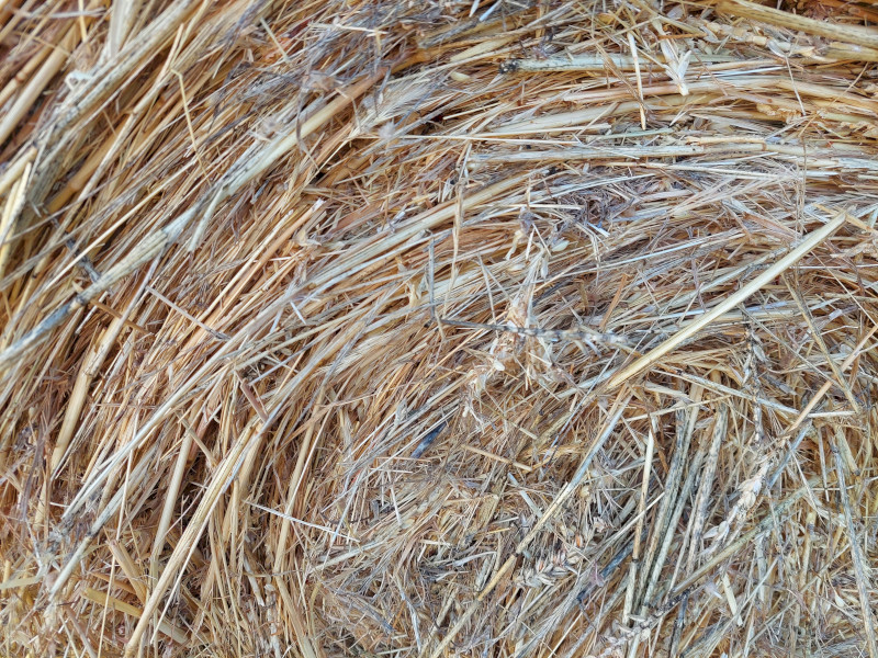 800 x Rye Grass Hay 5x4 Rolls