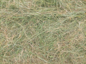 800 x Rye Grass Hay 5x4 Rolls