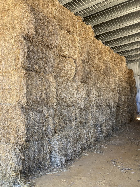 80mt Rye and Clover Hay 8x4x3 Bales