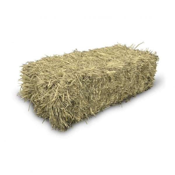 WANTED Hay and Silage