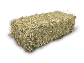 WANTED Hay and Silage