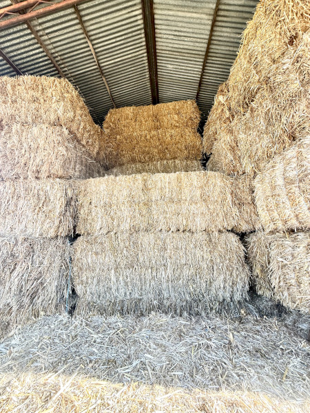 Premium Oaten Hay 8x4x3 Bales 400mt