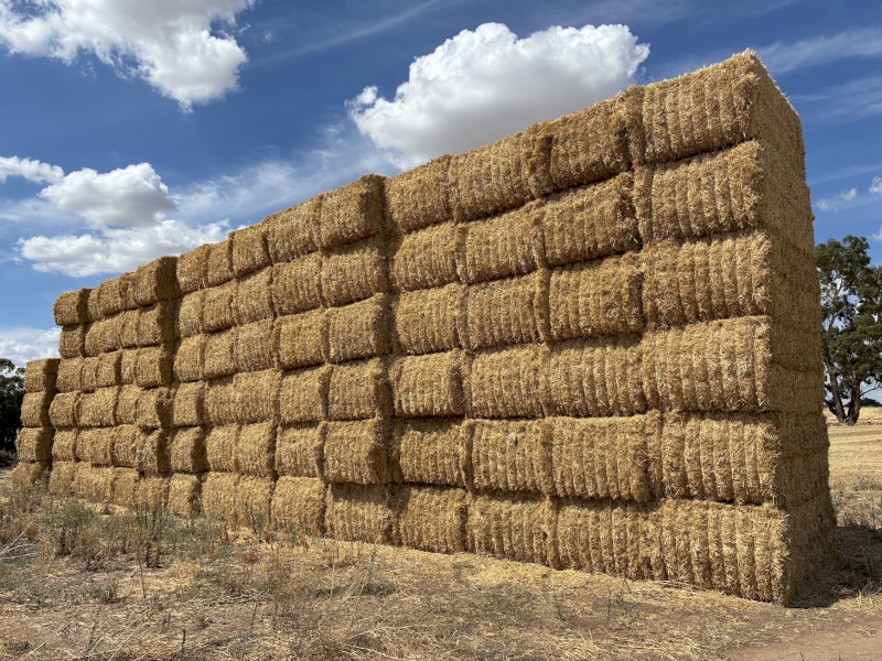 80mt Barley Straw 480-500kg 8x4x3 Bales