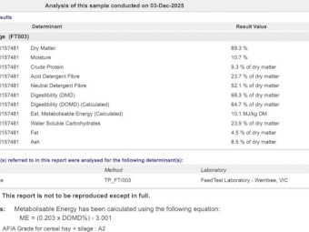 80mt Wheaten Hay 650kg 8x4x3 Bales