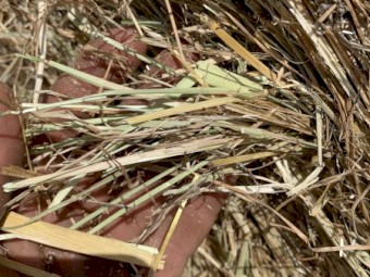 Round Bales per Tonne