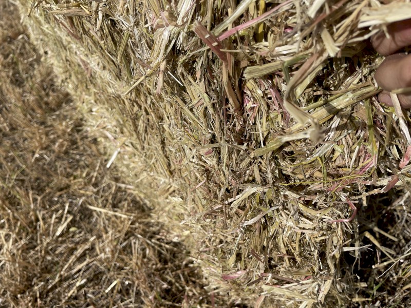 Oaten Hay 8x4x3 Bales