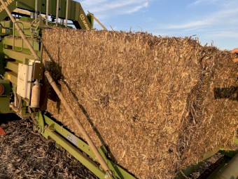 Pea Hay 600-640kg 8x4x3 Bales (22/23)