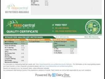 2022 Vetch Hay (120) bales 